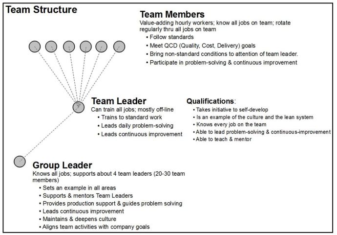 Team Structure